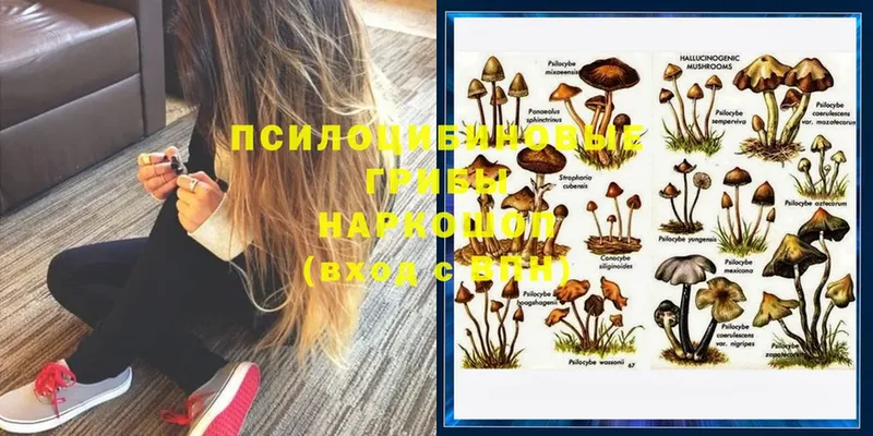 купить наркотики цена  omg сайт  Галлюциногенные грибы Psilocybine cubensis  Великие Луки 